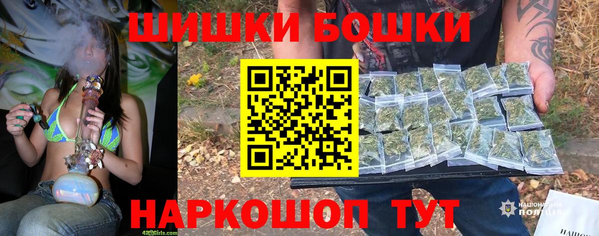 Шишки марихуана план Ноябрьск